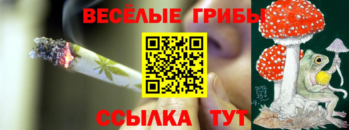 Коломна  купить   Вход с VPN  Галлюциногенные грибы мицелий  Галлюциногенные грибы Magic Shrooms 